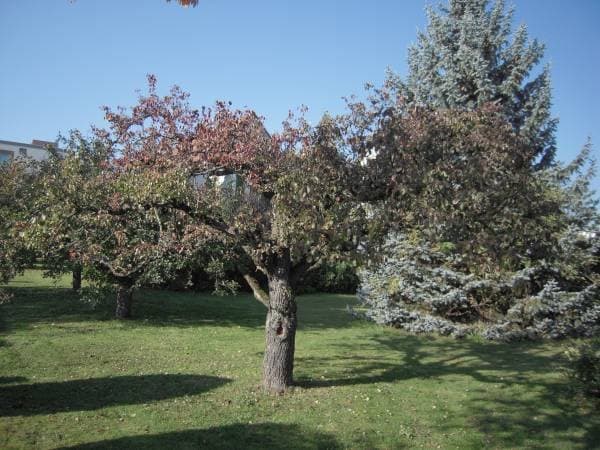 Bauplatz