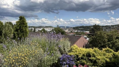 Wunderschöne Wohnung in hochwertiger Wohnlage